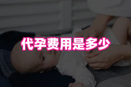 合肥助孕网站 2