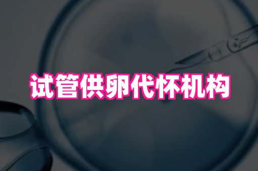 合肥助孕网站 3